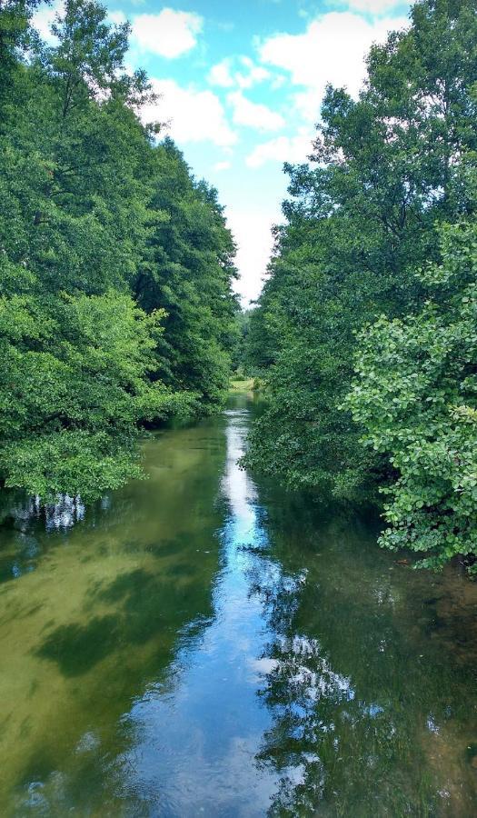 Domek Borsk Dış mekan fotoğraf